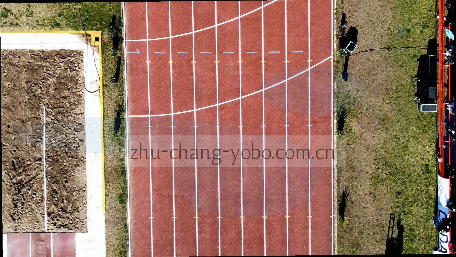 夜色中的本地体育场馆看台与聚光灯，观众剪影入画